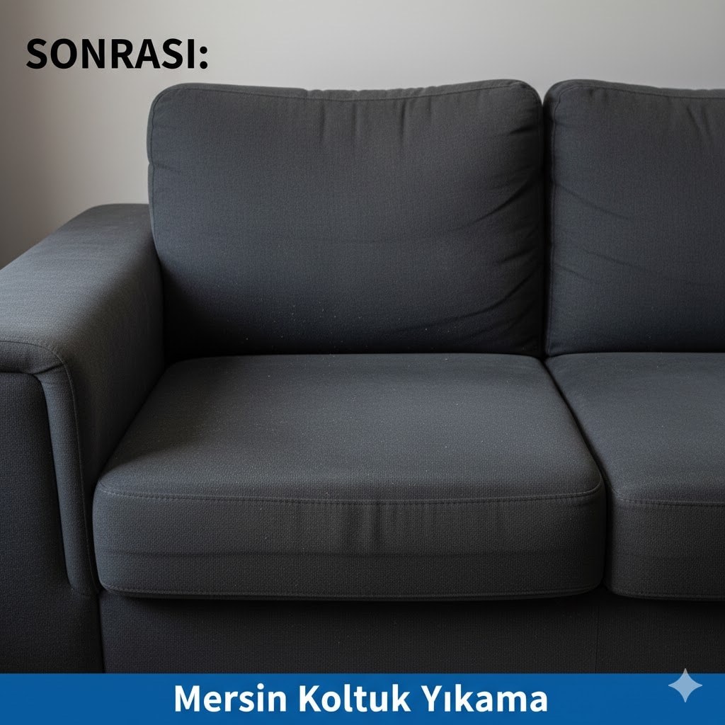 Mersin koltuk yıkama sonrası: Temiz, lekesiz ve ferah koltuk
