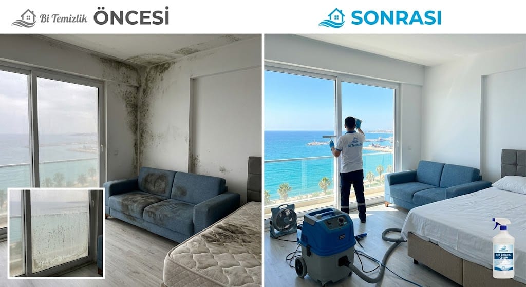 Mersin Yenişehir sahil bandında nemden kaynaklı küf temizliği ve koltuk yıkama işlemi öncesi sonrası karşılaştırması - Bi Temizlik Profesyonel Çözümler